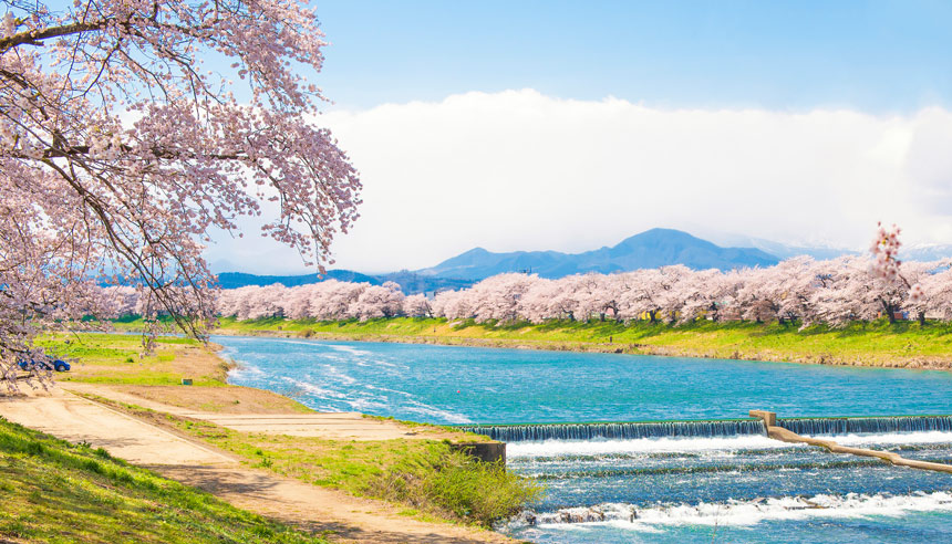 sdj-web-banners_destination-guide-banner-desktop_860x492.jpg